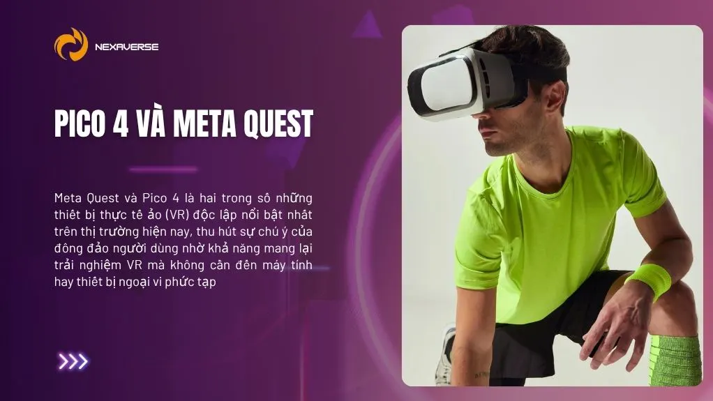 Meta Quest và Pico 4
